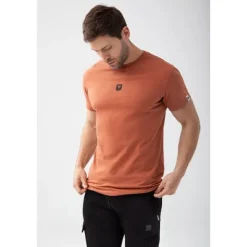 Brązowy T-shirt męski BASIC TSHIRT 150 T BROWN