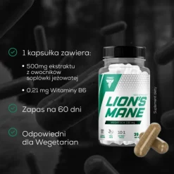 Lion's Mane - Soplówka Jeżowata