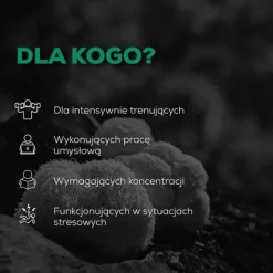 Lion's Mane - Soplówka Jeżowata