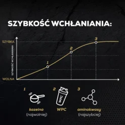 PROTEIN 100 - Białko wzbogacone aminokwasami