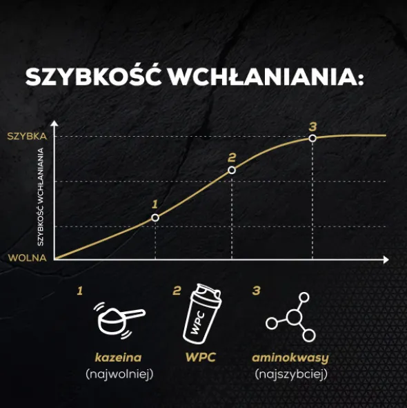 PROTEIN 100 - Białko wzbogacone aminokwasami